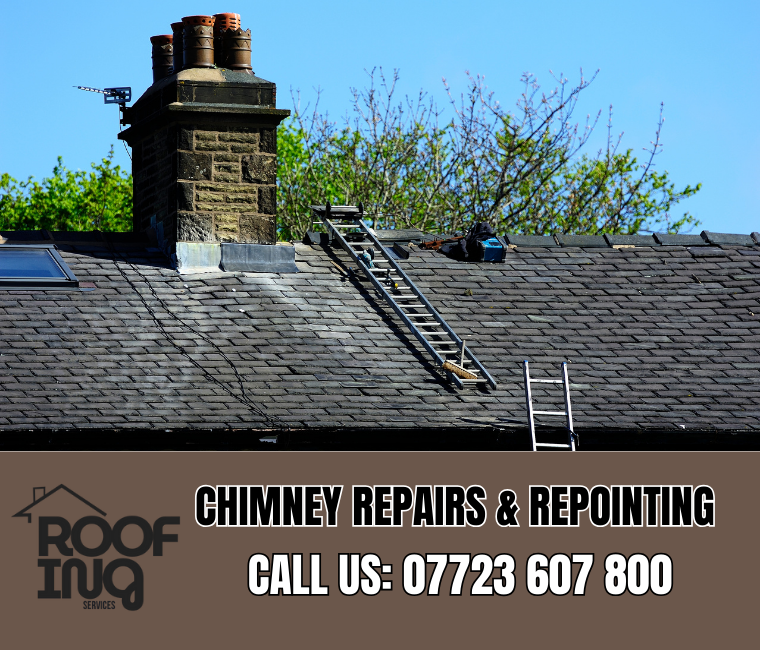 Chimney repair and repointing services in Totnes