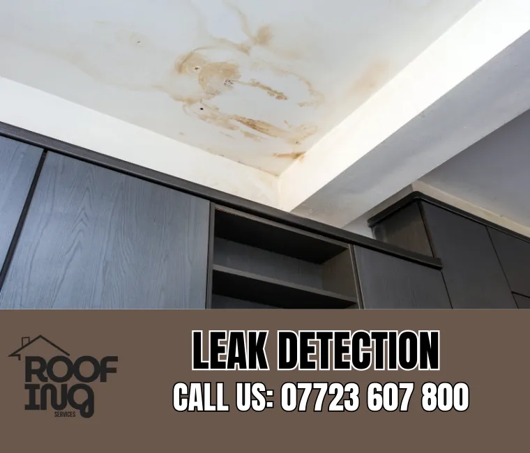 Roof Leak Detection in Totnes
