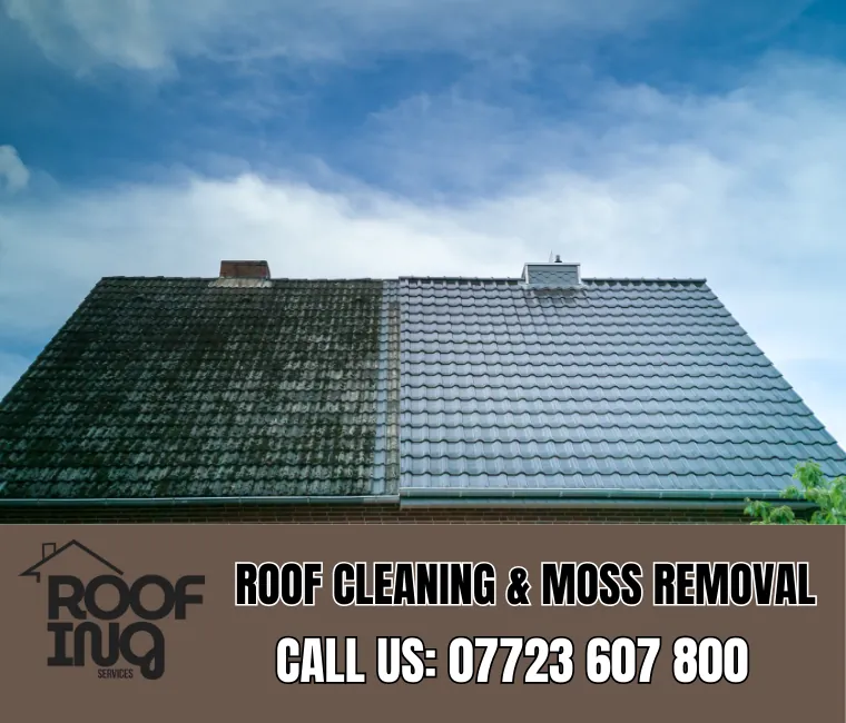 Roof Cleaning in Totnes