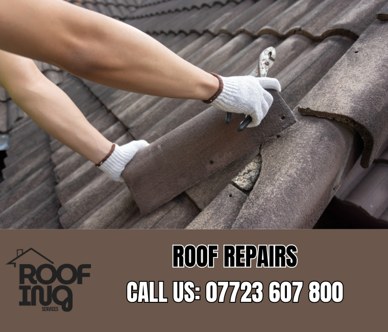 Professional roof repair services in Totnes